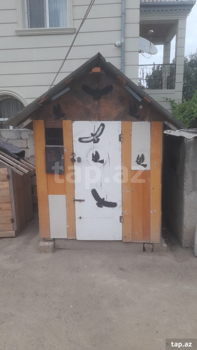 Quşxana