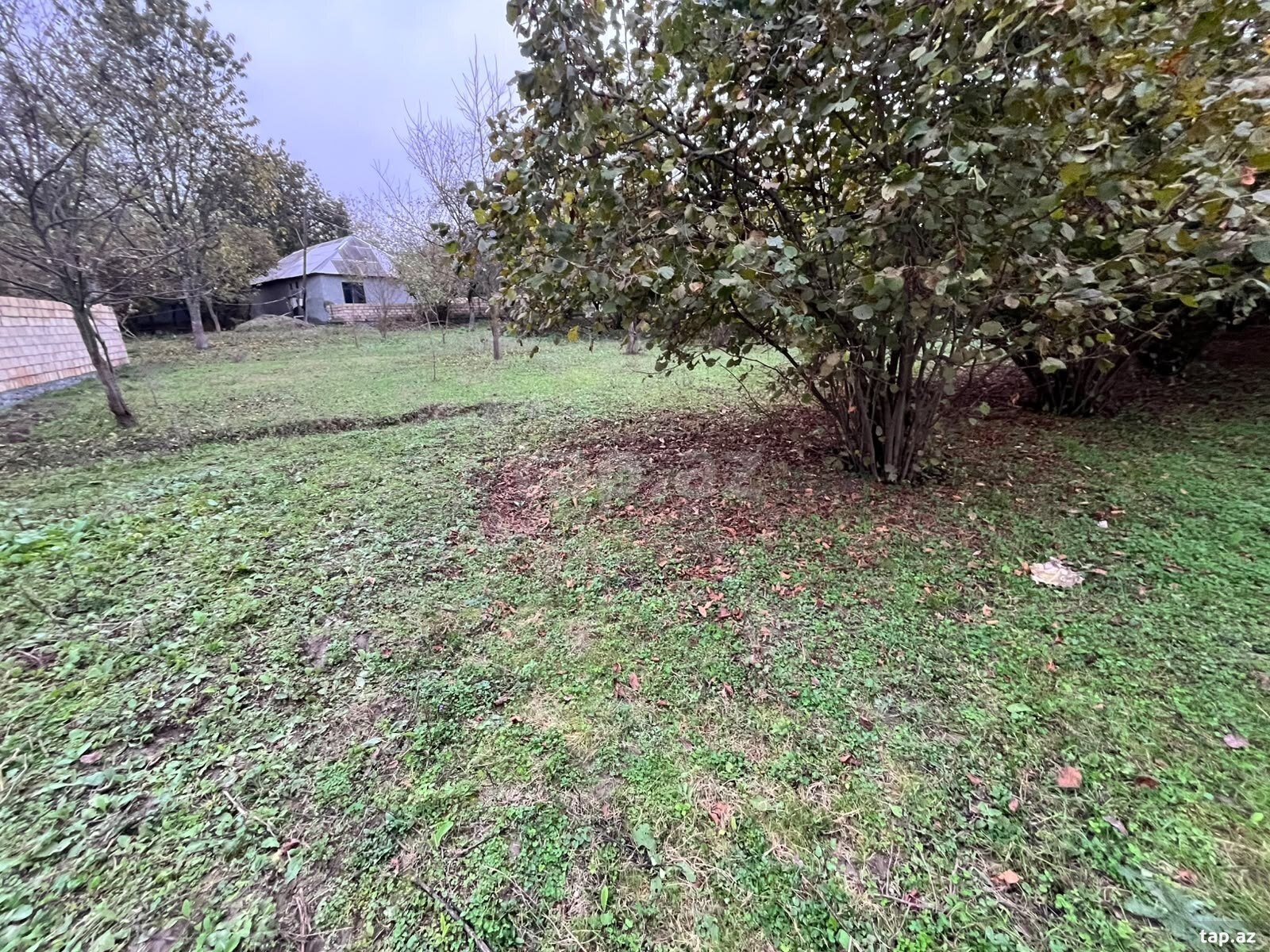 Torpaq satılır, Nohurqışlaq, Qəbələ