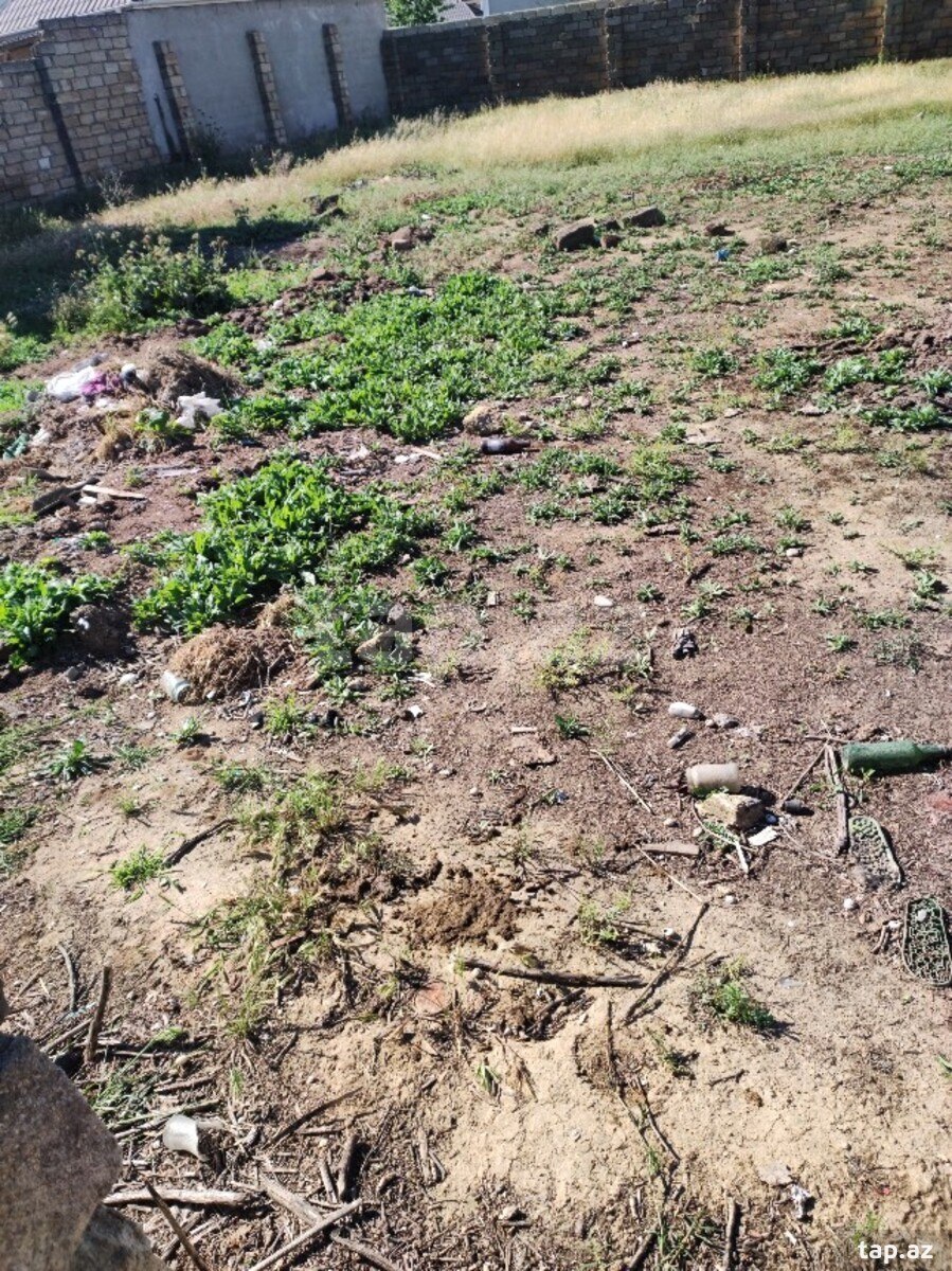 Torpaq satılır, Bakı