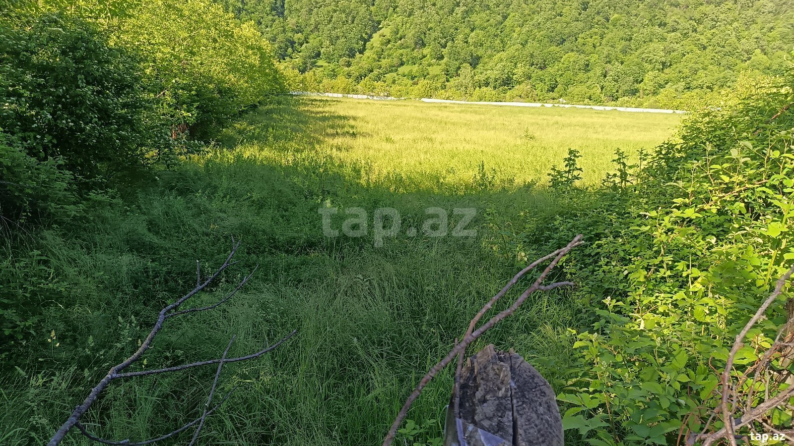 Torpaq satılır, Vəndam, Qəbələ