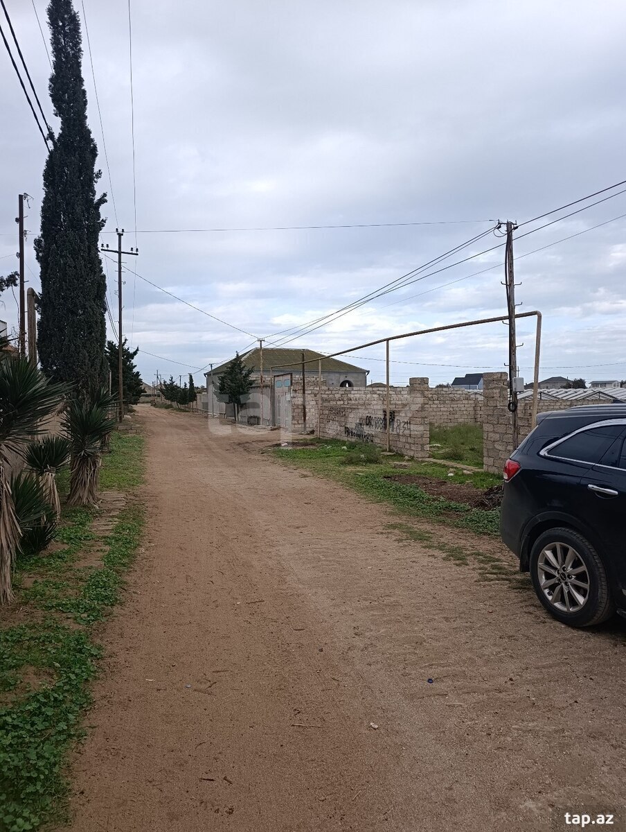 Torpaq satılır, Türkan, Bakı