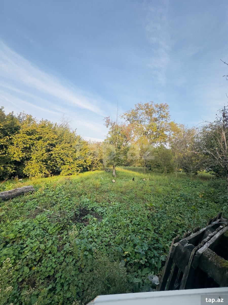 Land for sale, Nohurgishlag, Gabala