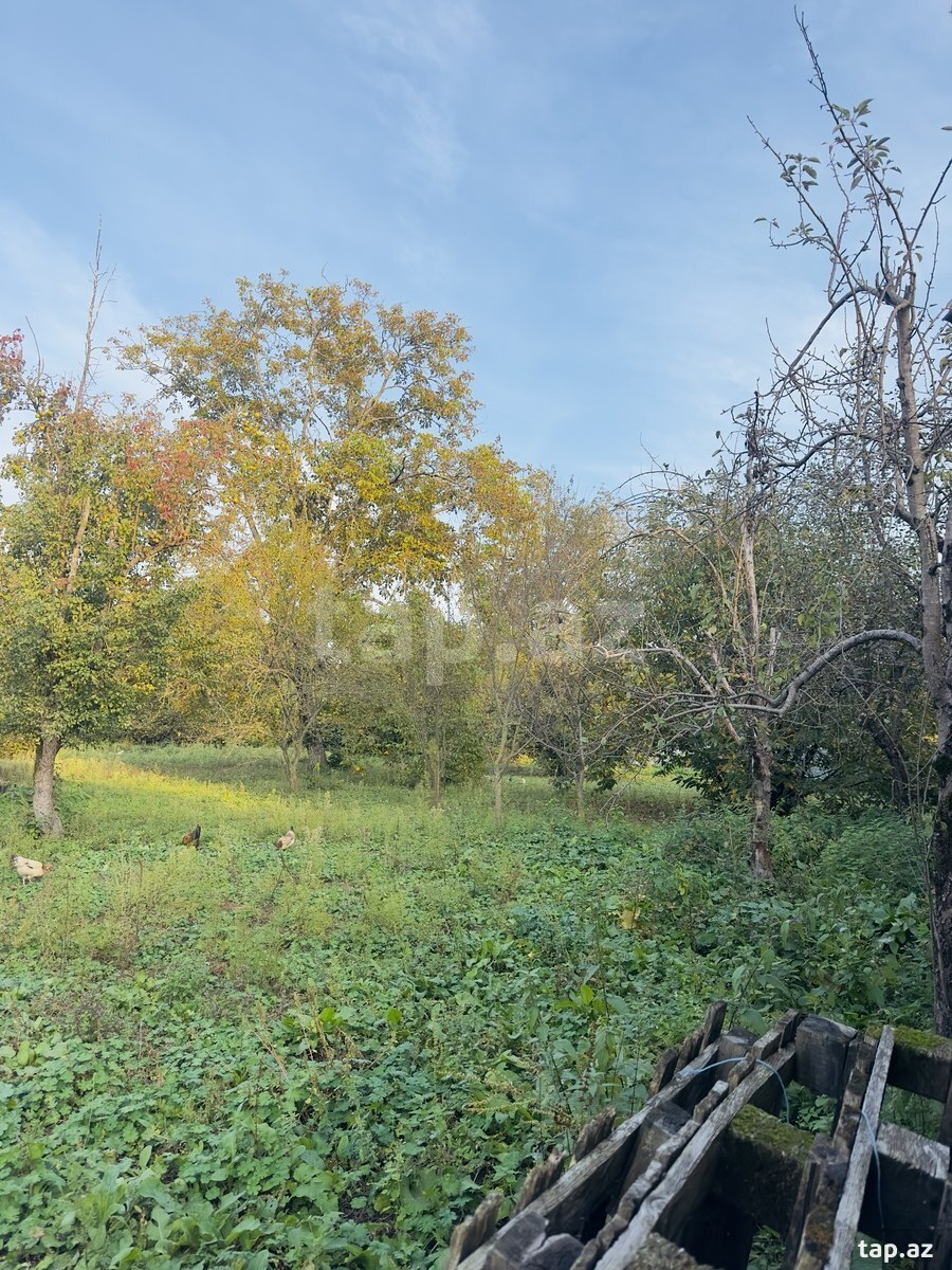 Land for sale, Nohurgishlag, Gabala