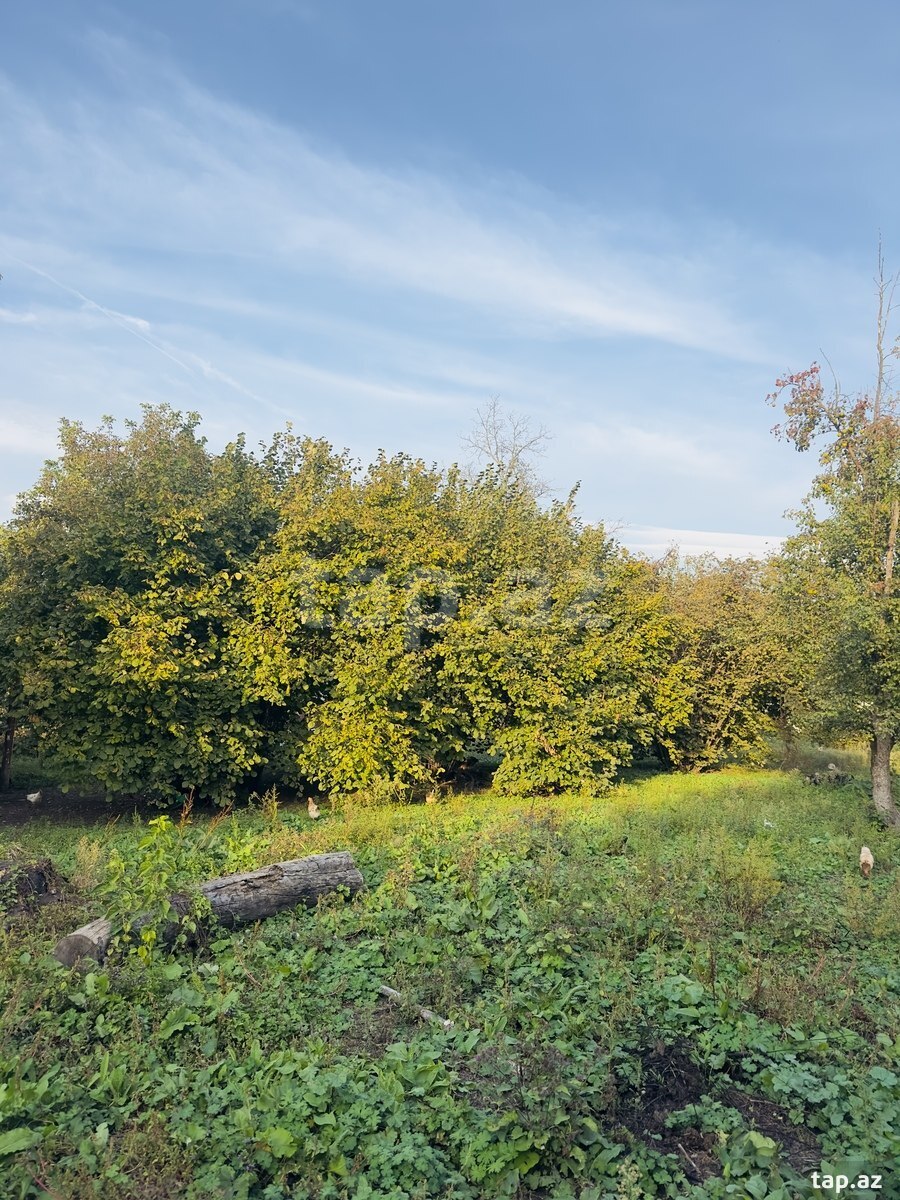 Land for sale, Nohurgishlag, Gabala