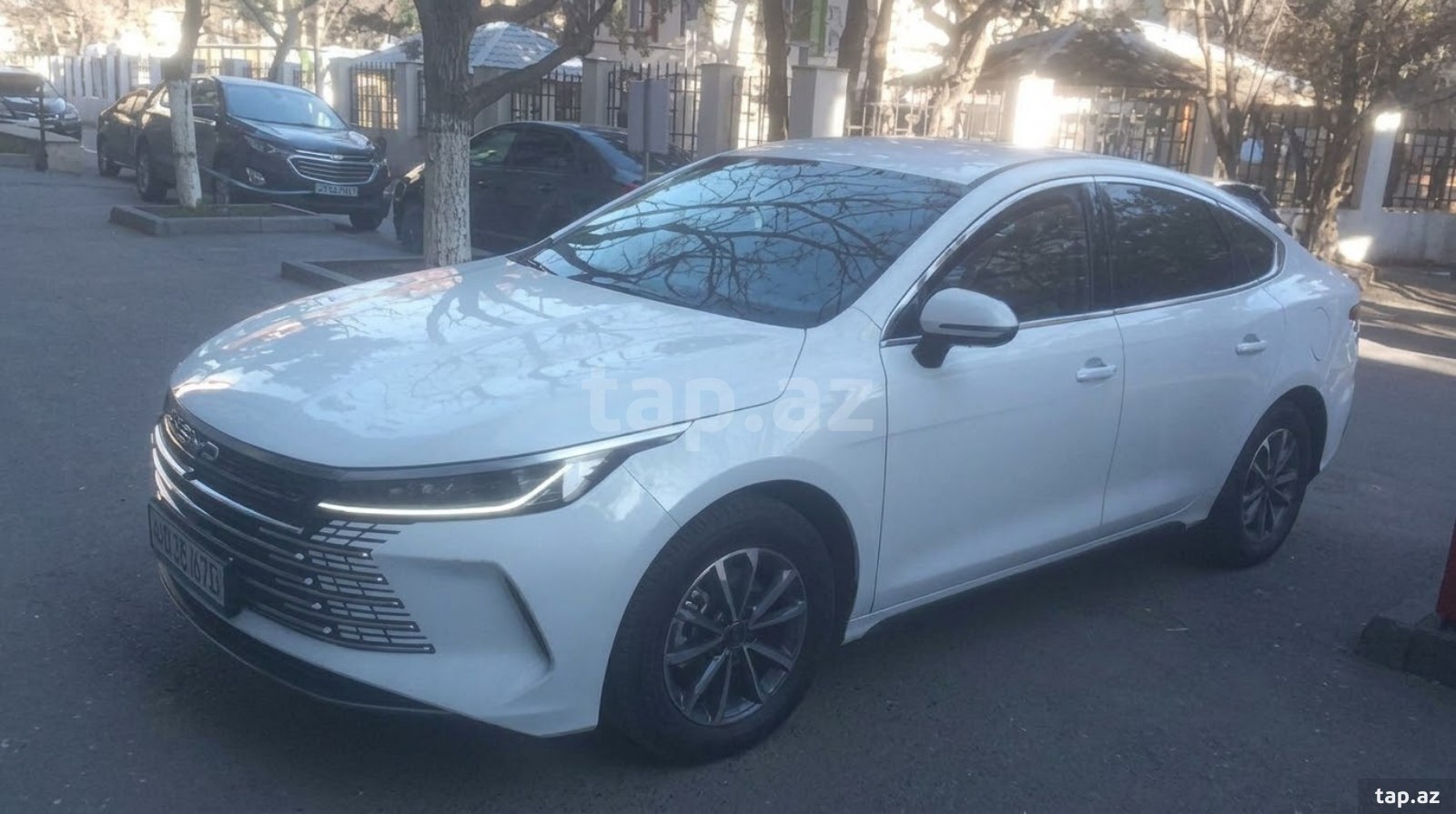 BYD icarəsi