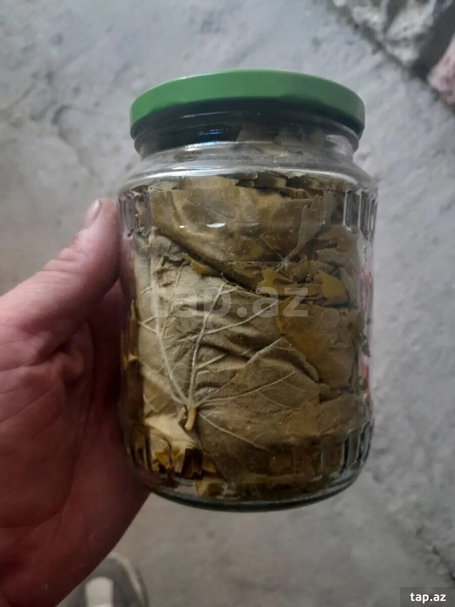 Üzüm yarpağı