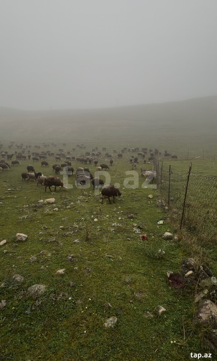 24 sot torpaq sahəsi, Qusar r.