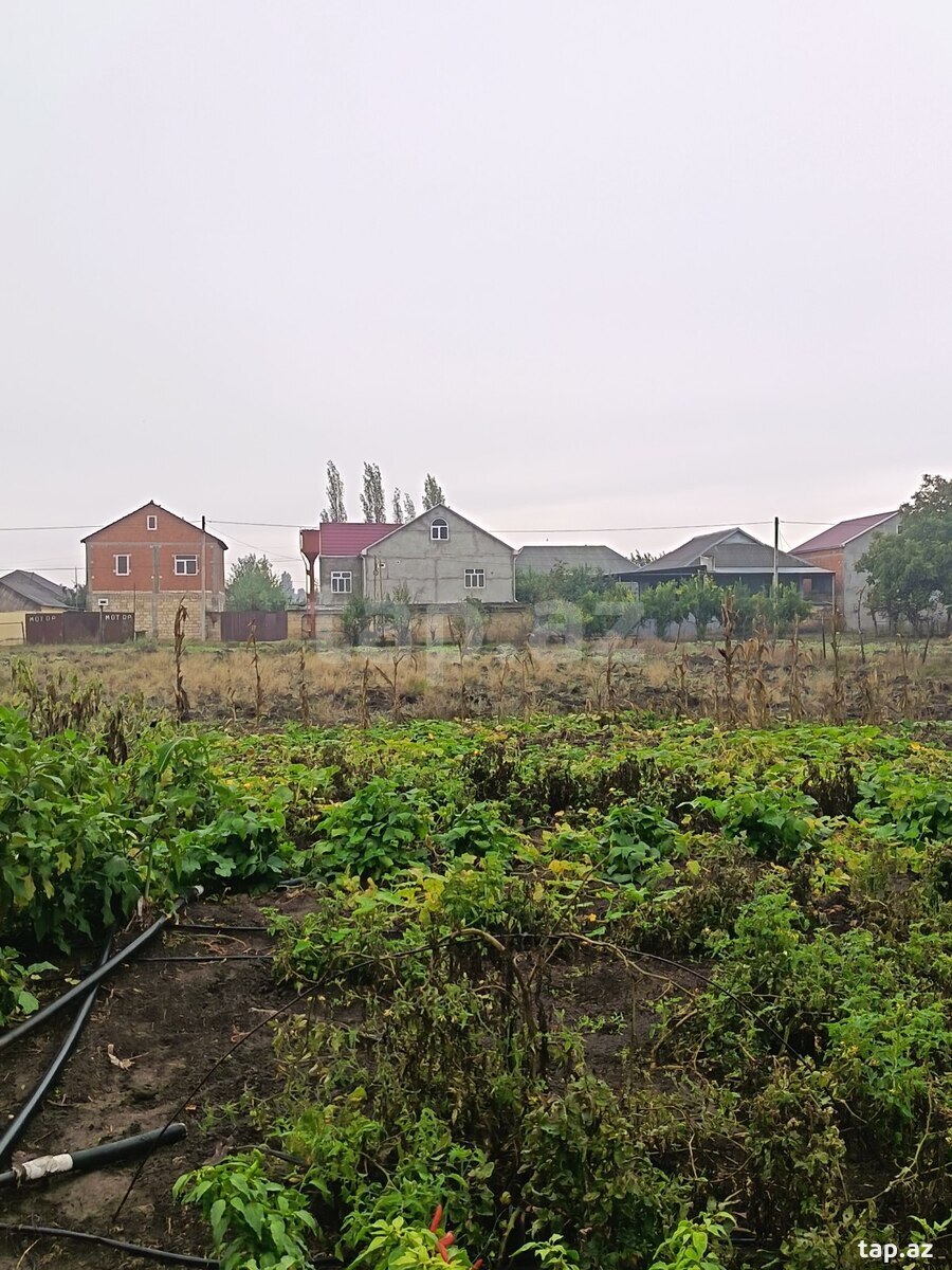 6 sot torpaq sahəsi, Cəlilabad r.