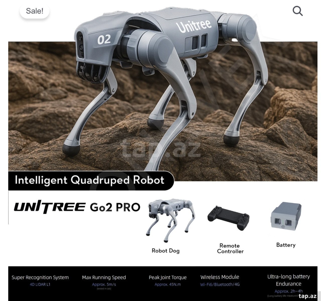 Unitree GO2 Pro