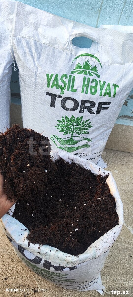 Torf