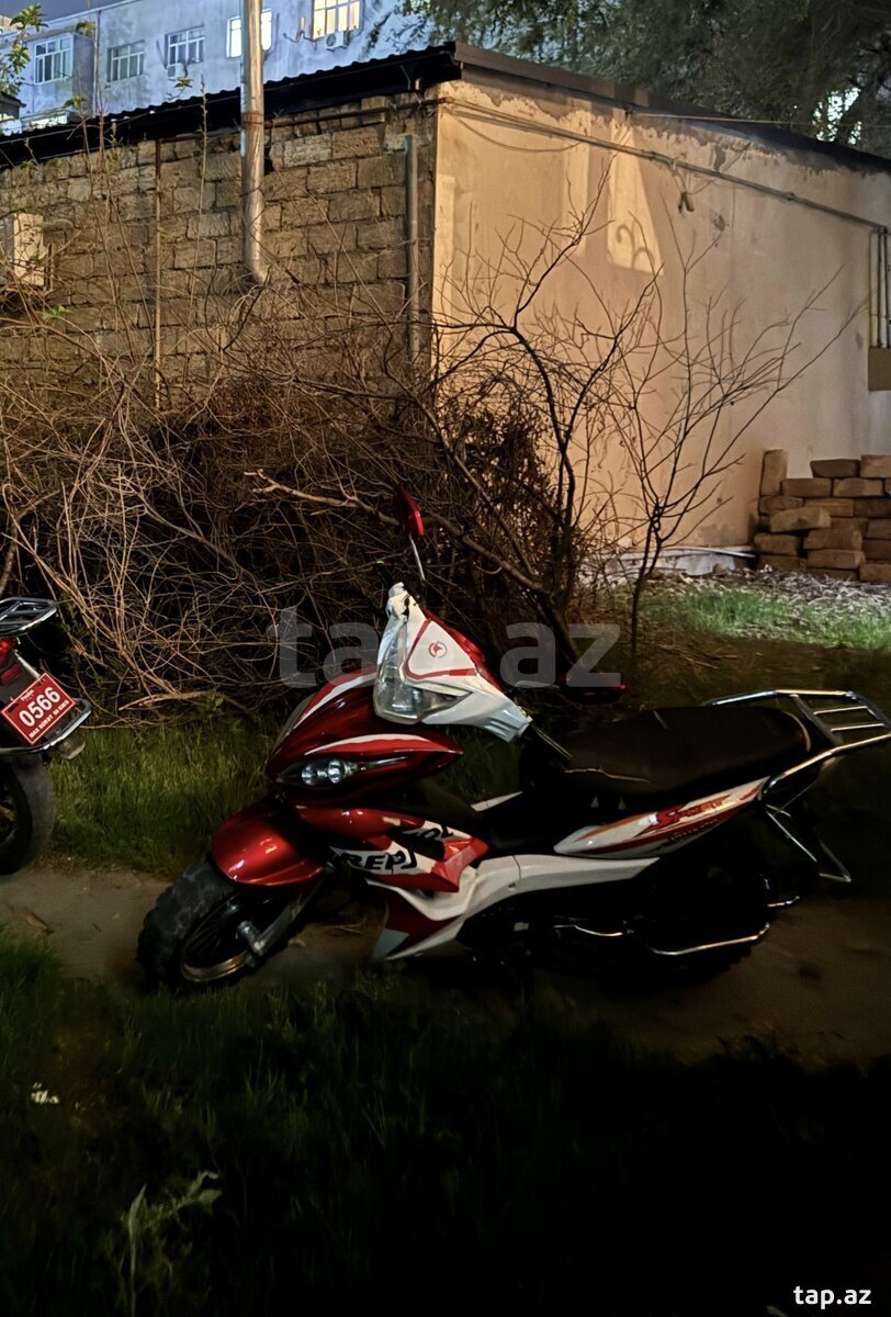 Moped, 2024 il