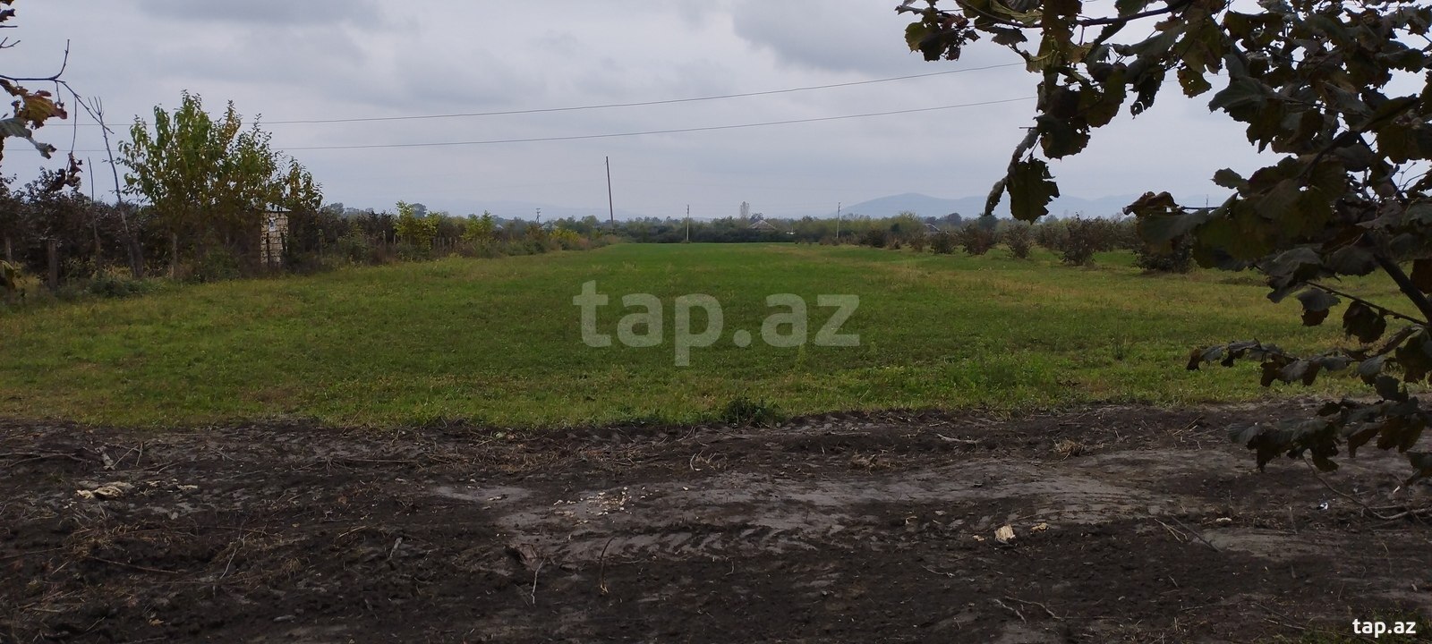 Land for sale, Imamli, Gabala
