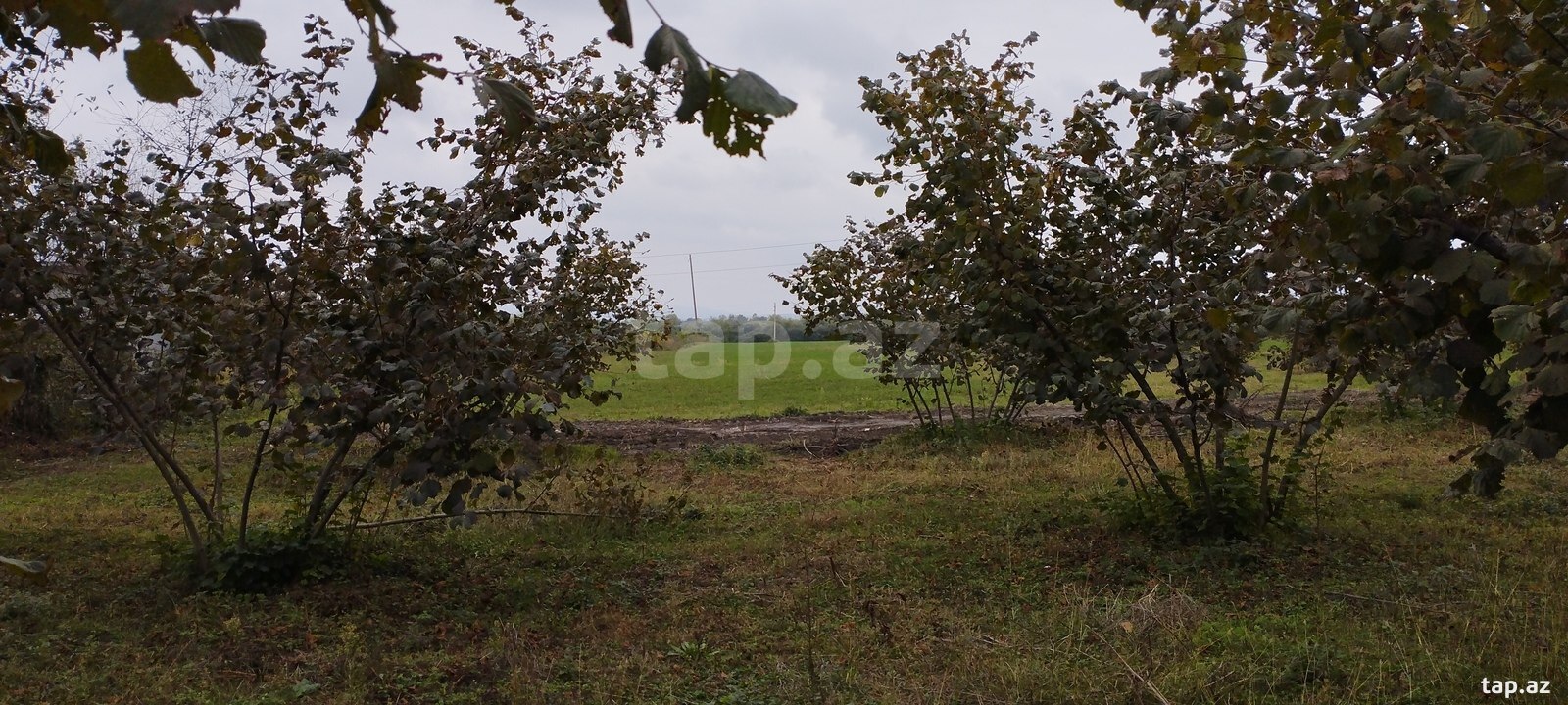 Land for sale, Imamli, Gabala