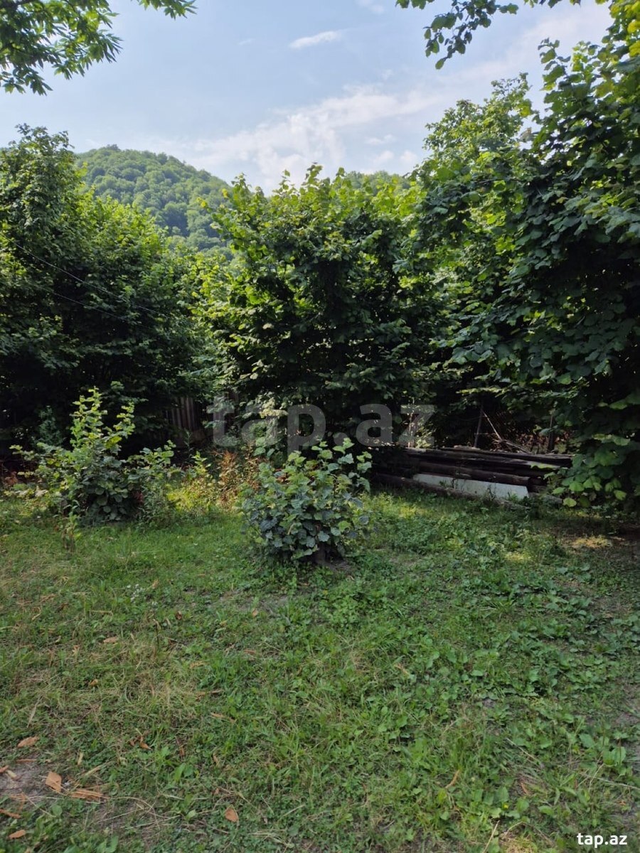 Land for sale, Vandam, Gabala