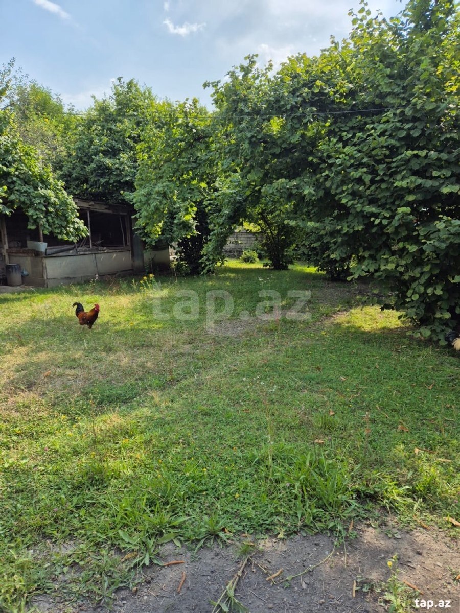 Land for sale, Vandam, Gabala