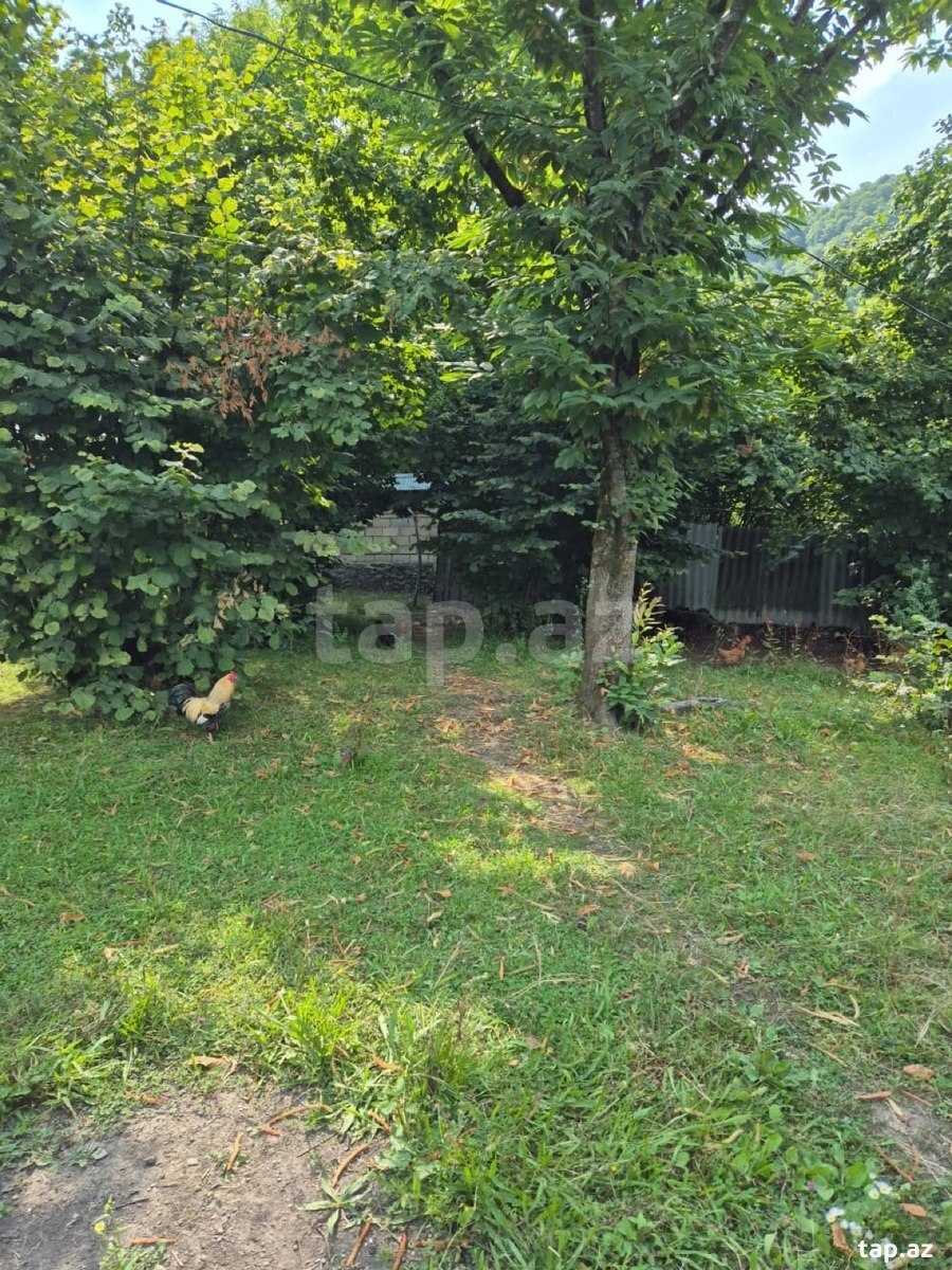 Land for sale, Vandam, Gabala