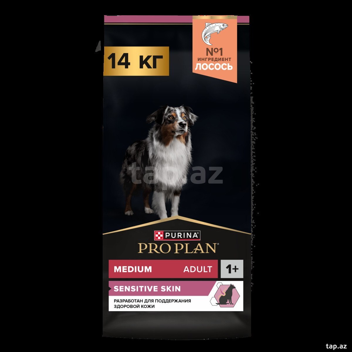 Proplan İt yemi