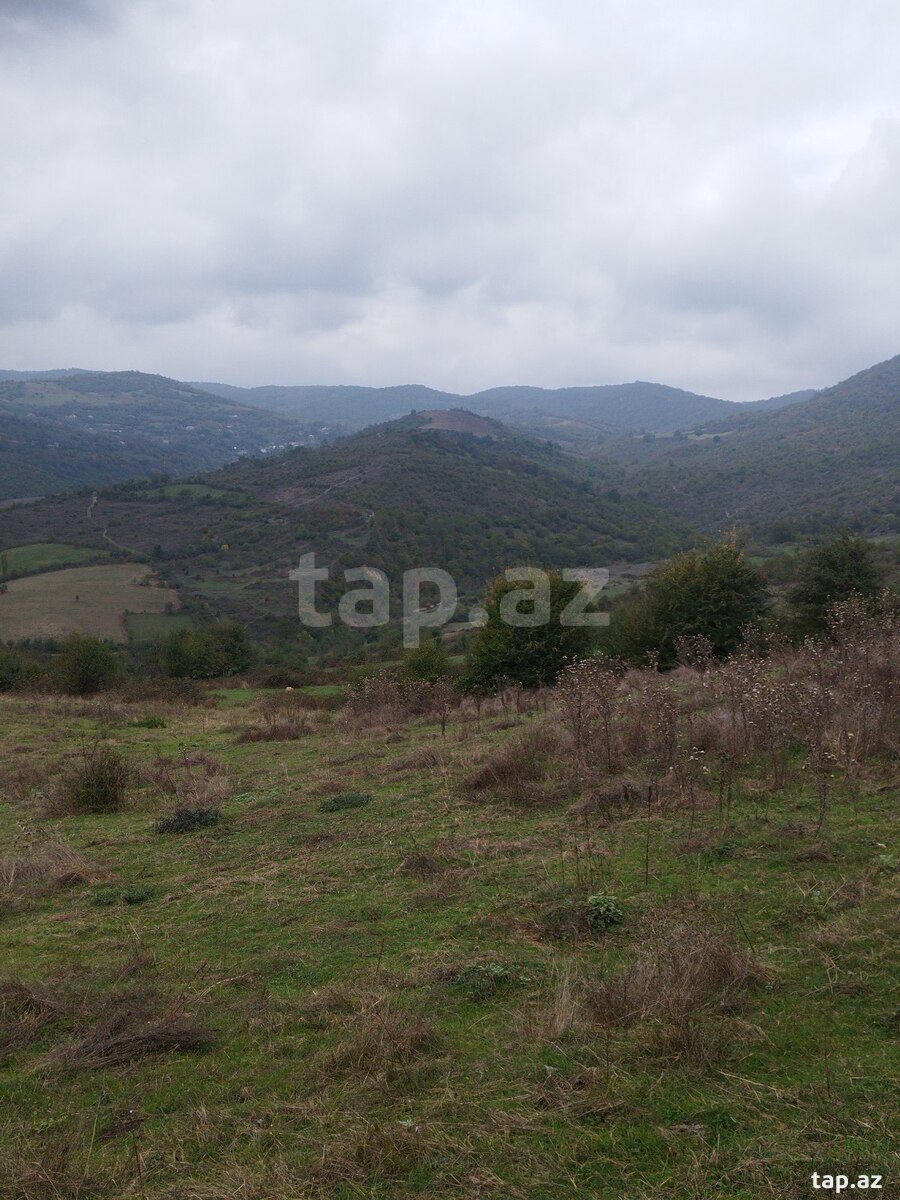 Torpaq satılır, Təngəaltı, Quba