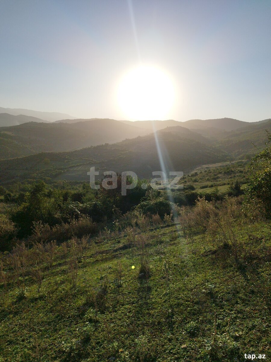 Torpaq satılır, Təngəaltı, Quba