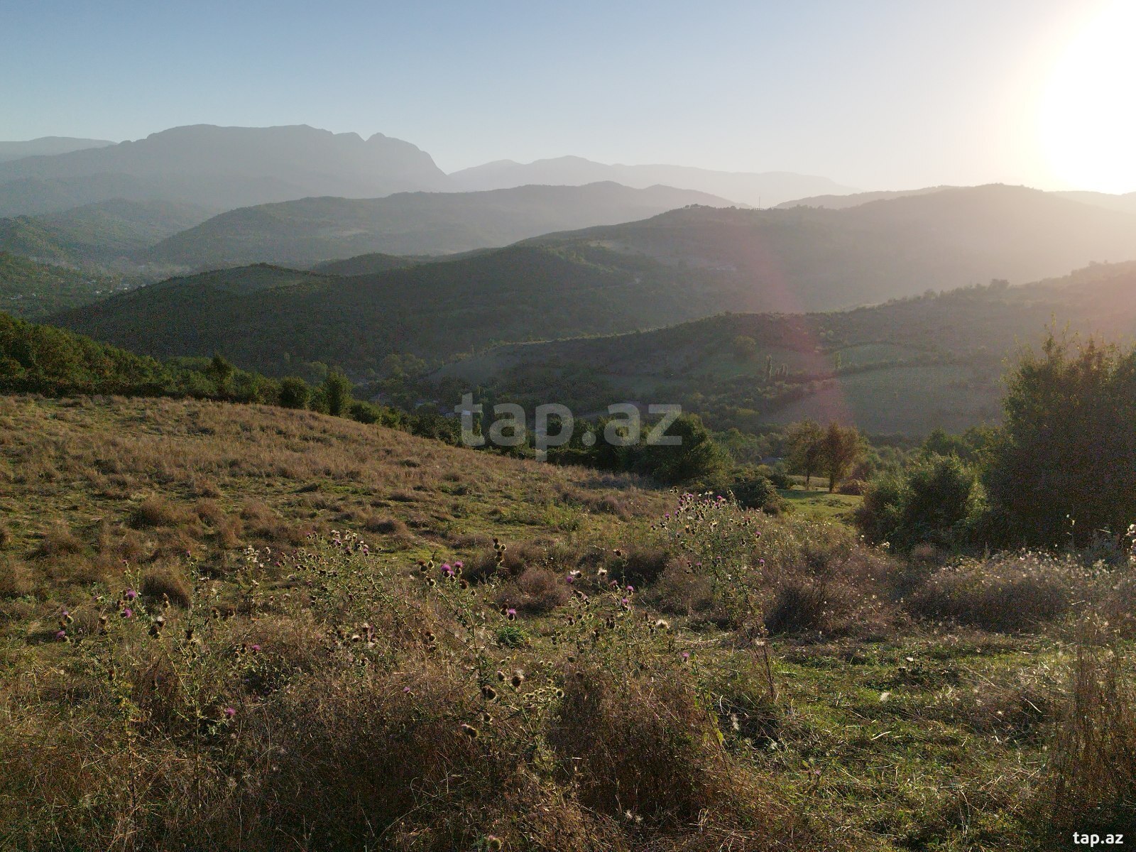 Torpaq satılır, Təngəaltı, Quba