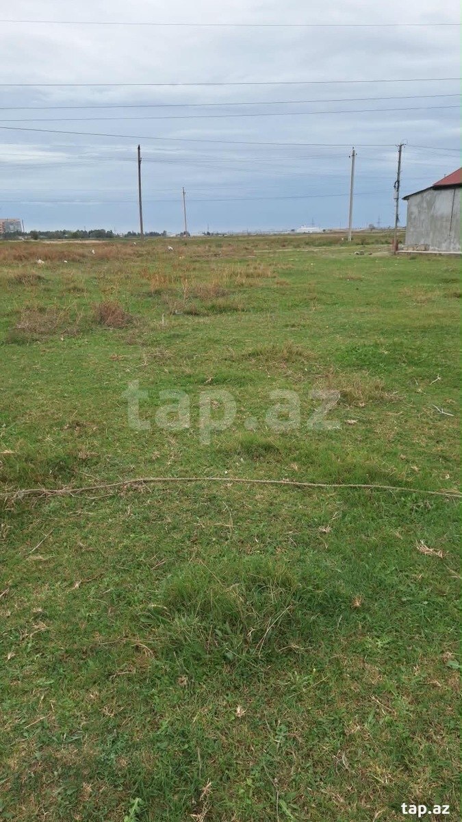 Torpaq satılır, Bakı