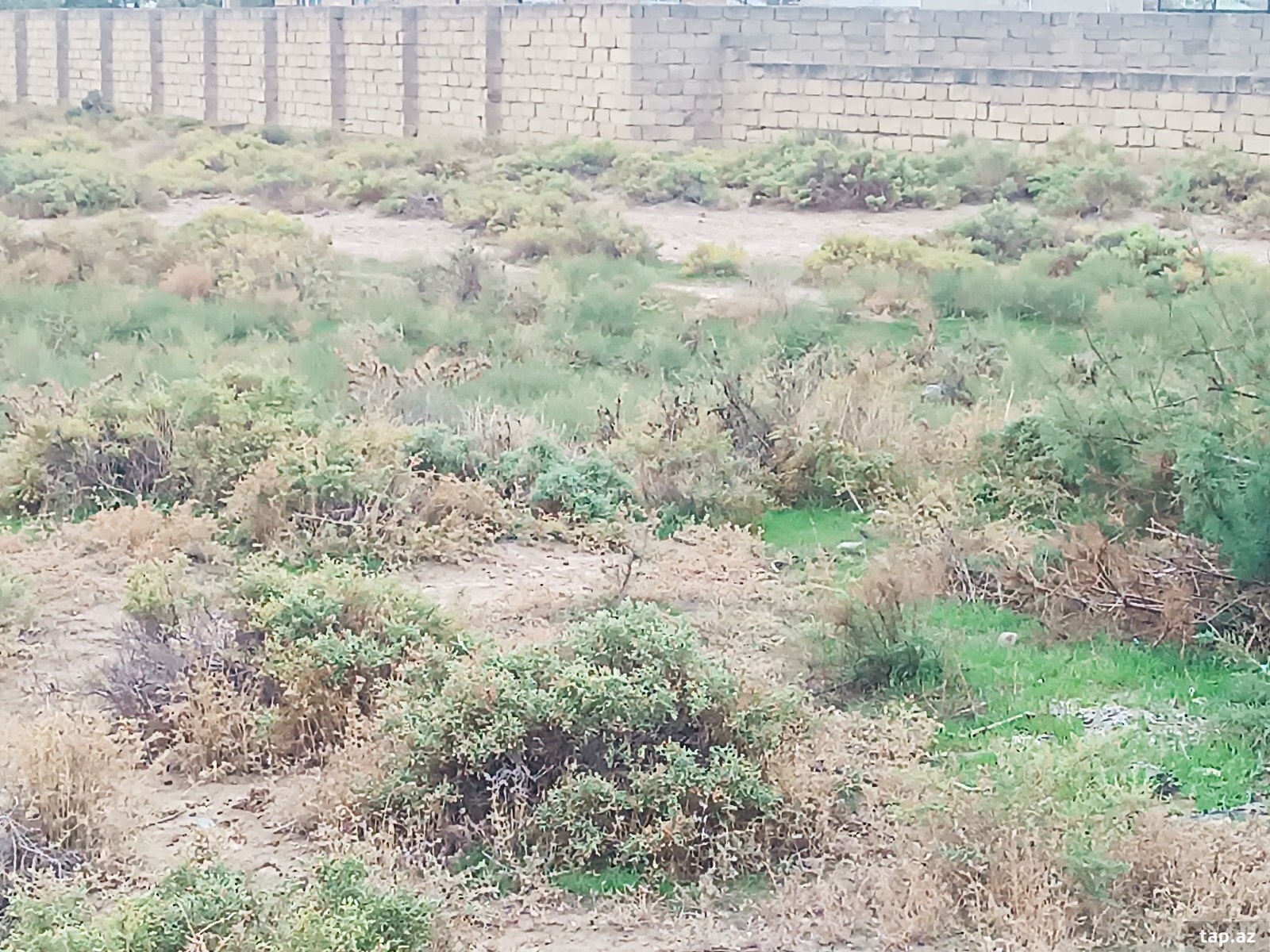 Land for sale, Sumgait