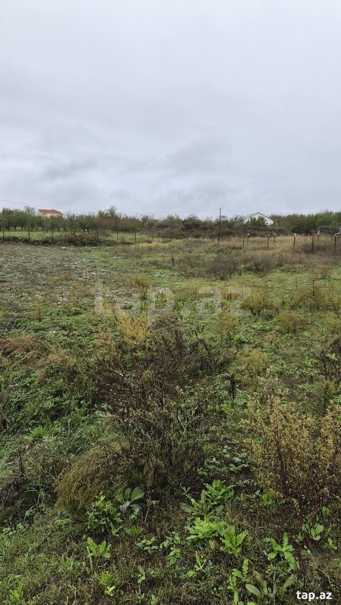 Land for sale, Gusar