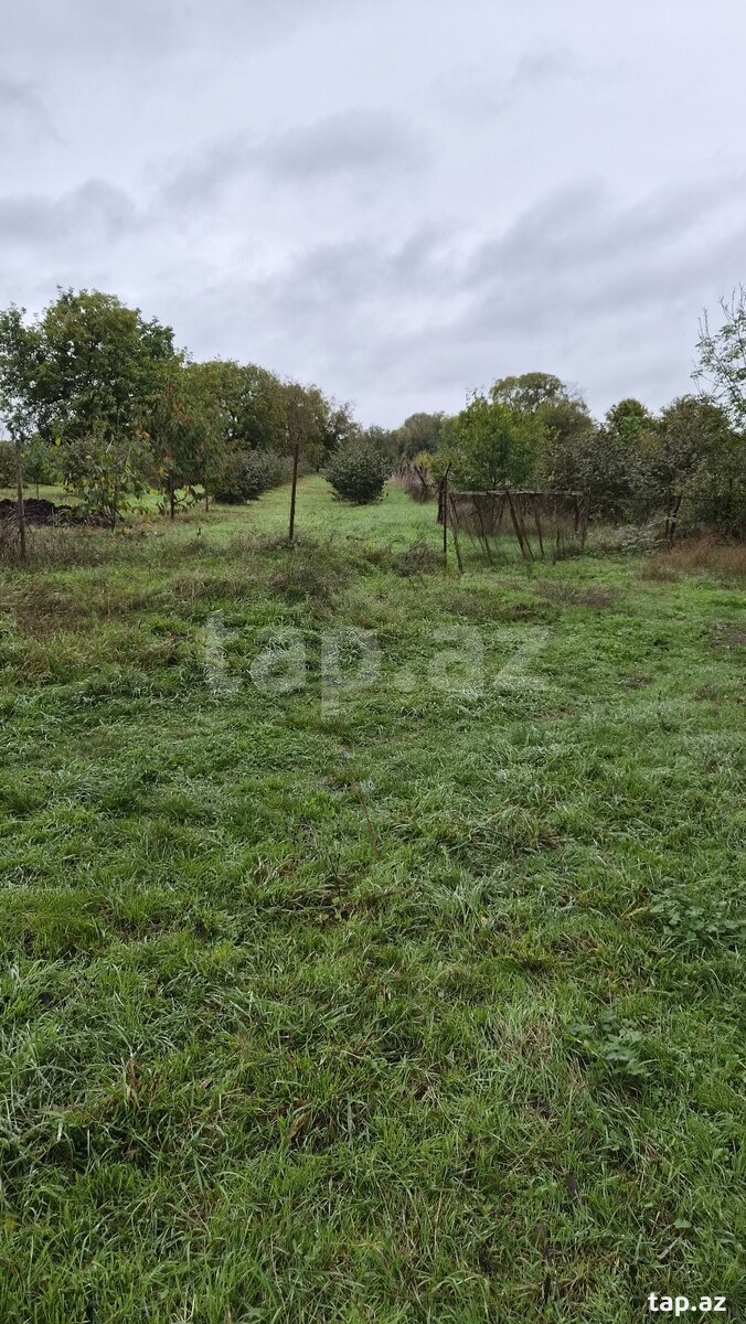 Land for sale, Gusar