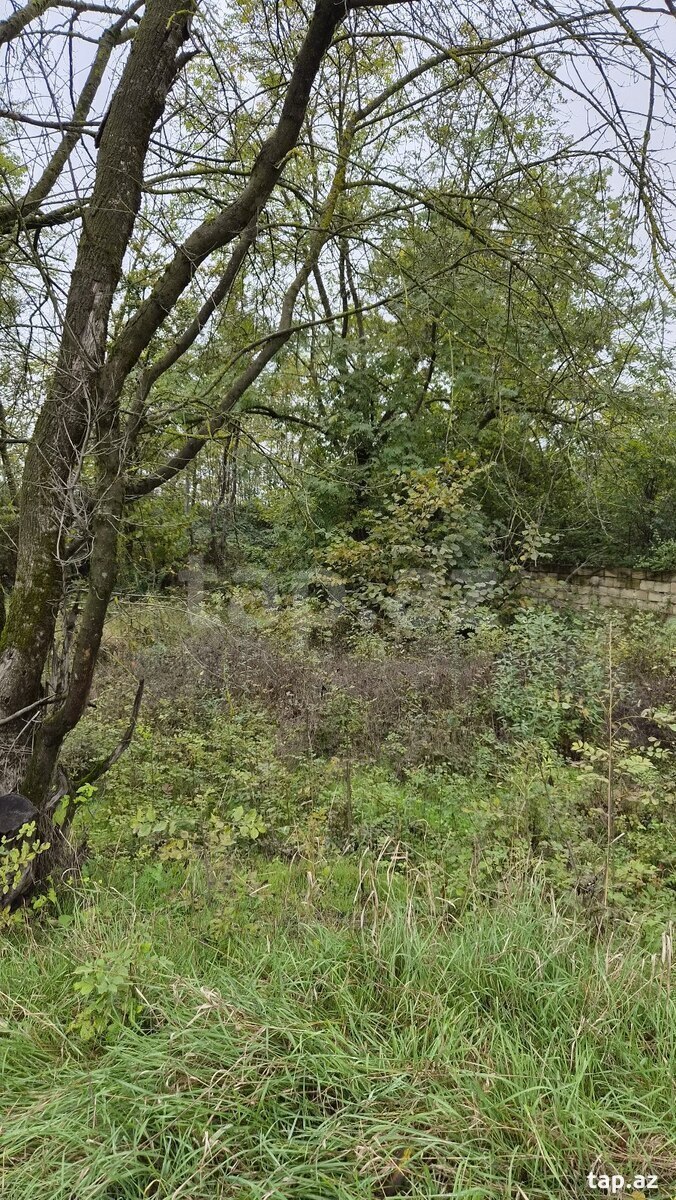 Land for sale, Gusar