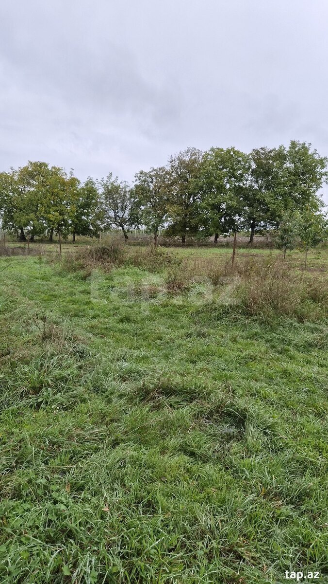 Land for sale, Gusar