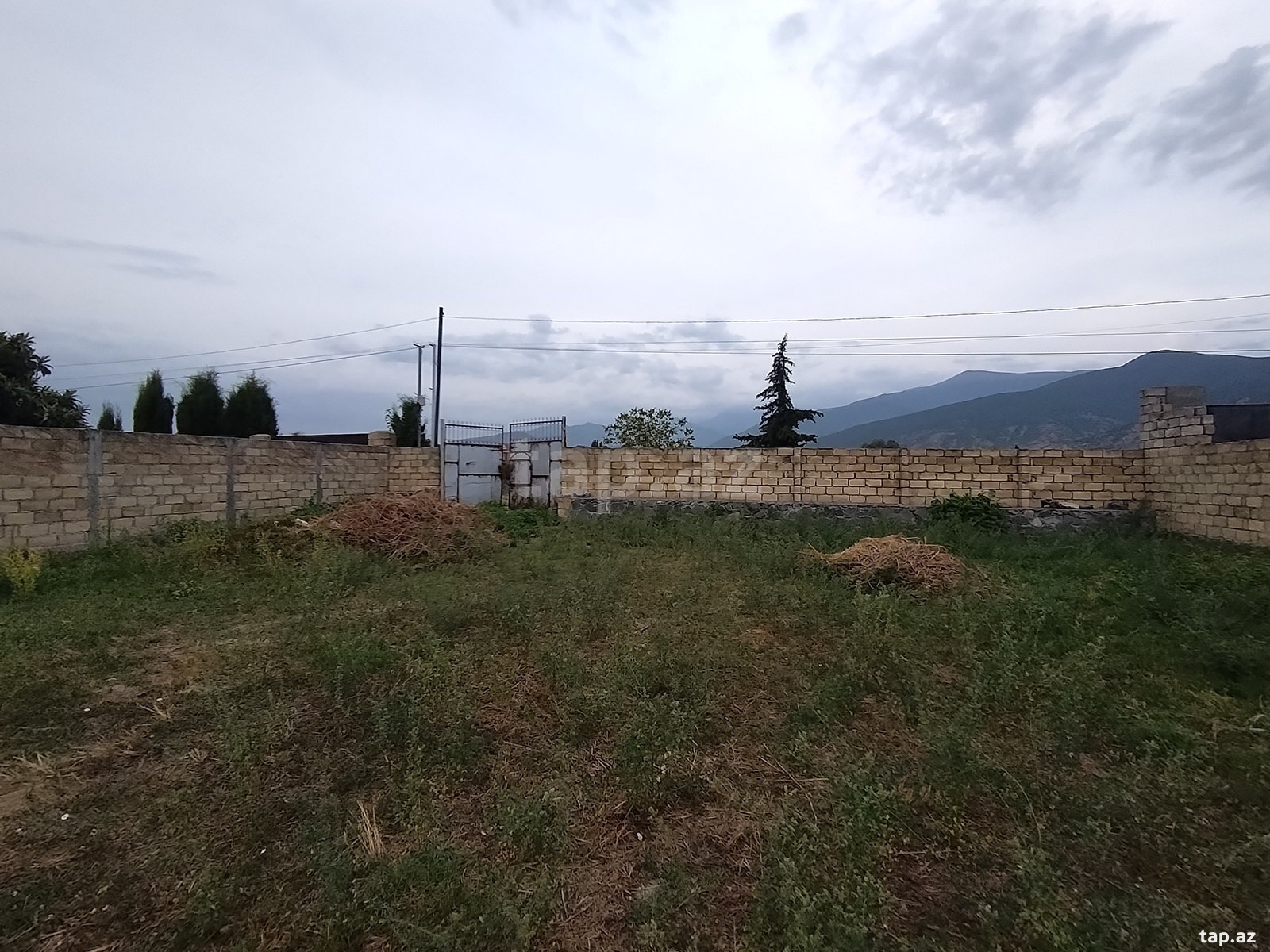 Torpaq satılır, Şəki