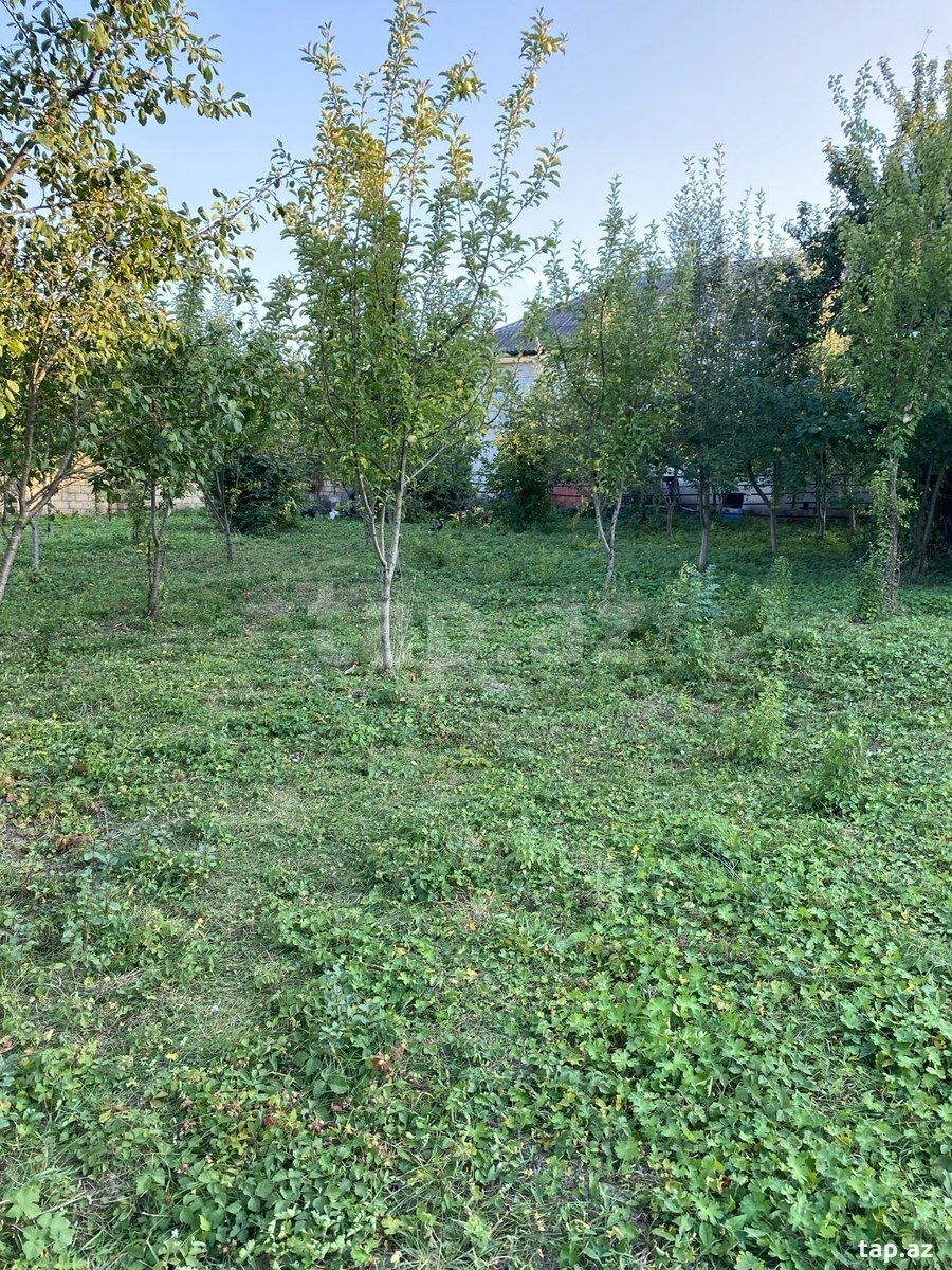 4 otaqlı həyət evi satılır, Quba