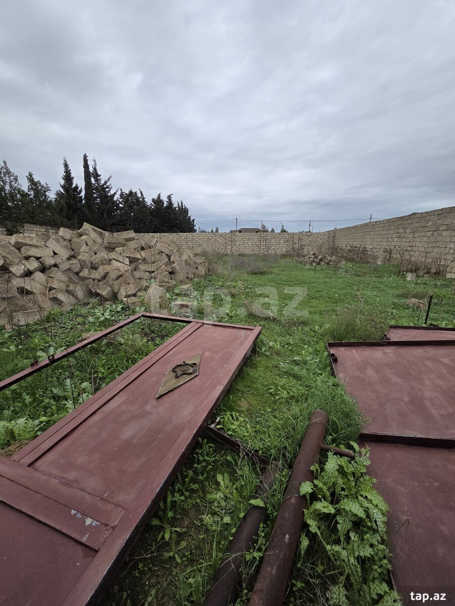 Torpaq satılır, Türkan, Bakı