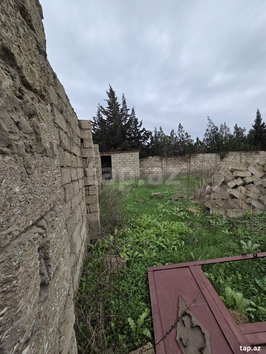 Torpaq satılır, Türkan, Bakı