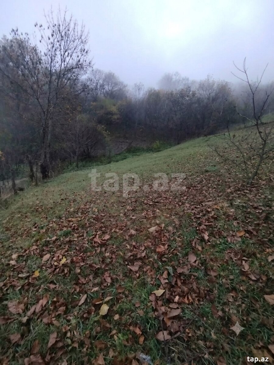 Torpaq satılır, Quba