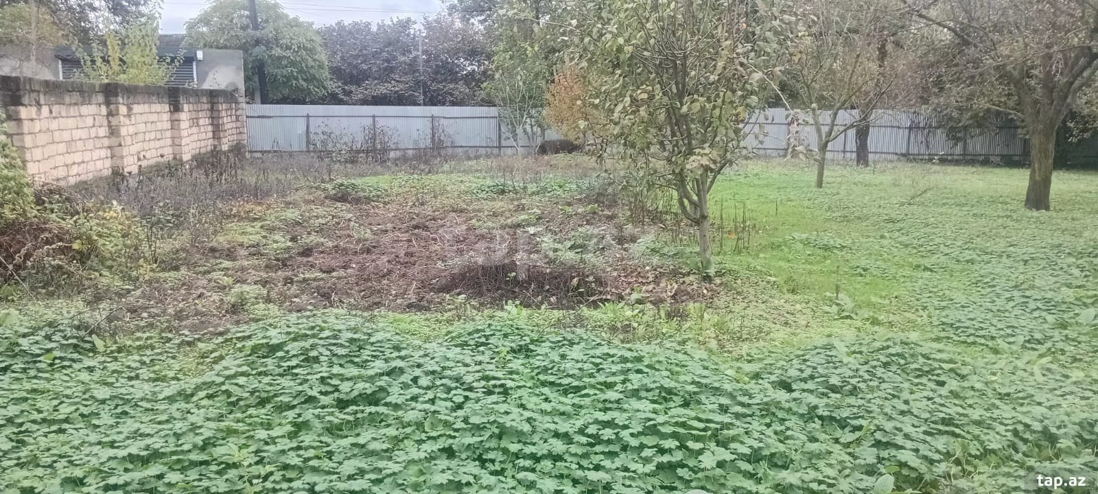 6 sot torpaq sahəsi, İsmayıllı r.