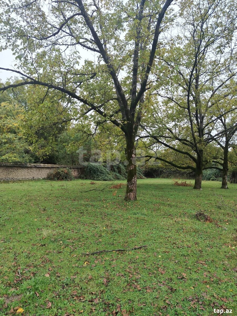 Land for sale, Gabala, Gabala