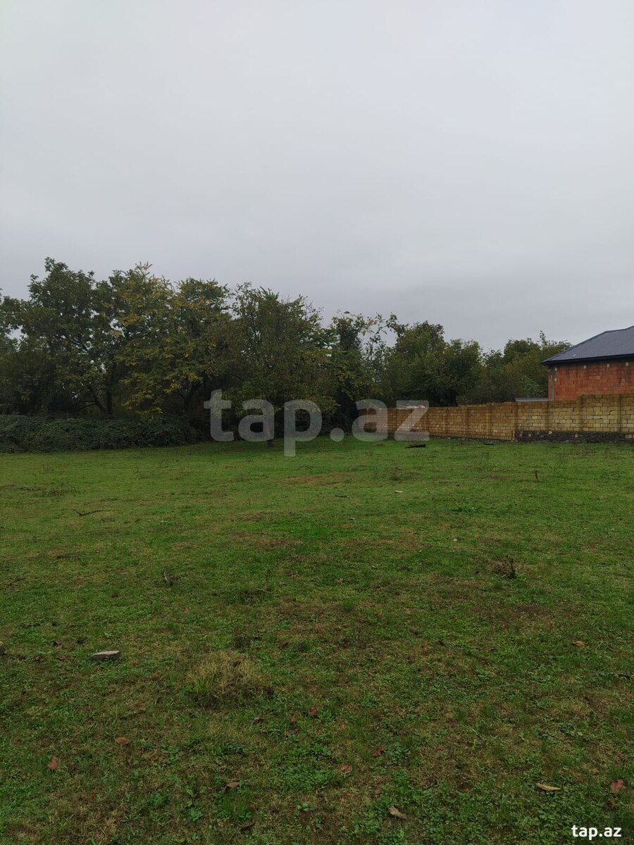 Land for sale, Gabala, Gabala
