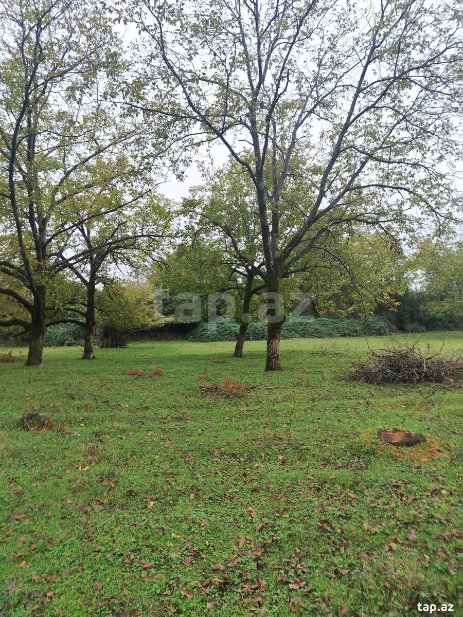 Land for sale, Gabala, Gabala