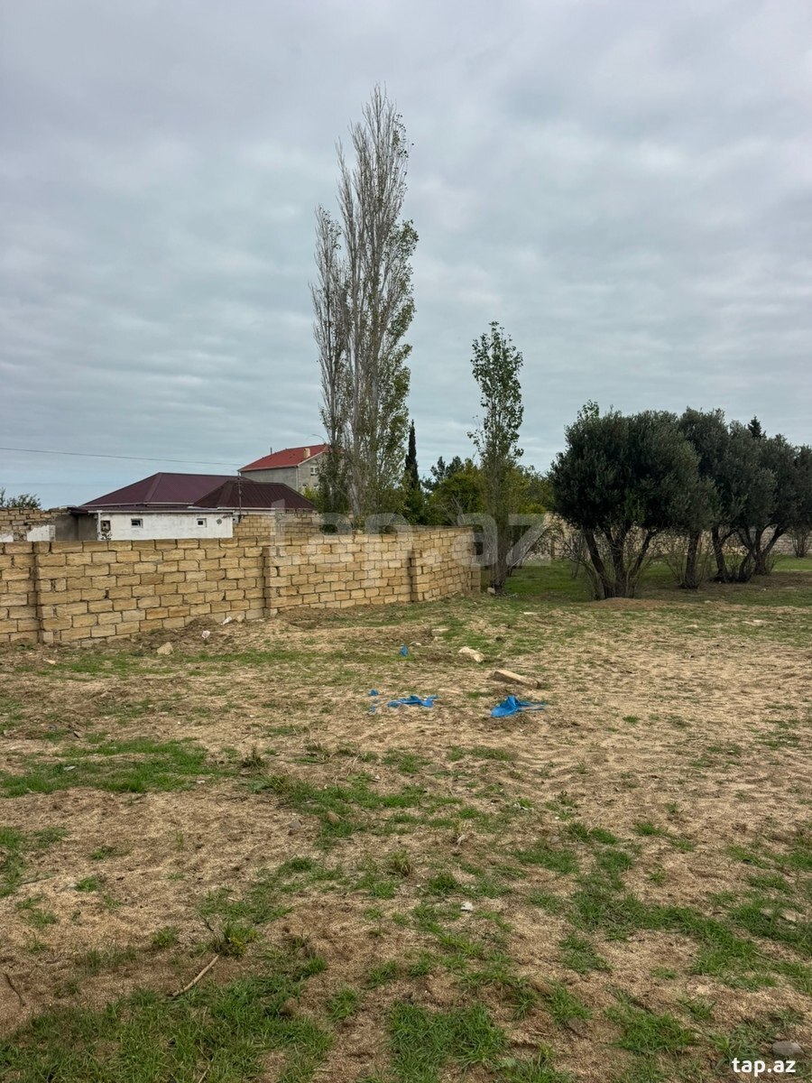2.65 sot torpaq sahəsi, Novxanı bağları