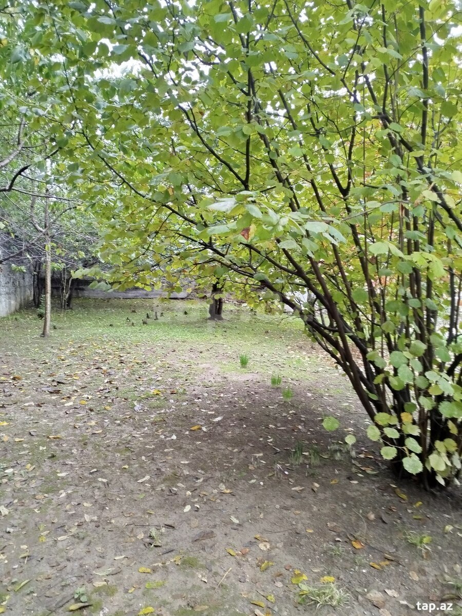 3-комн. частный дом на продажу, Шеки
