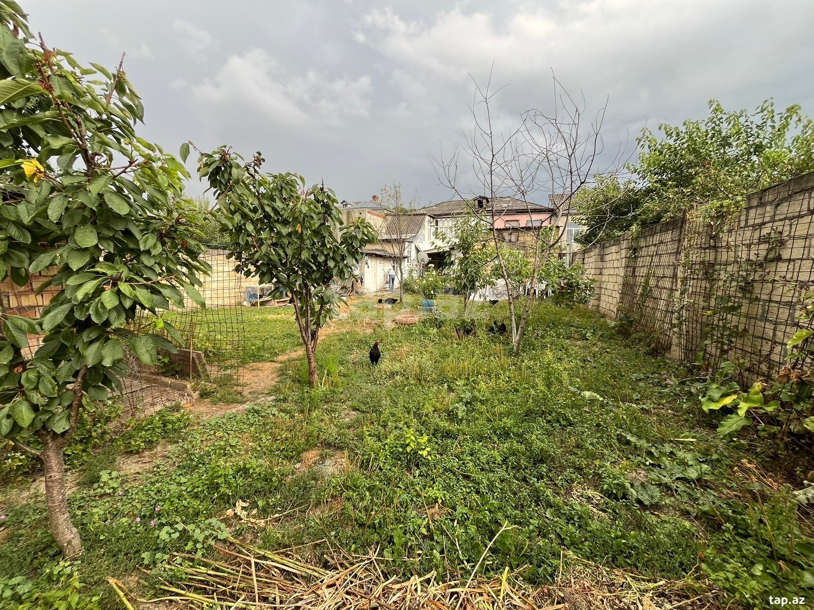 9 otaqlı həyət evi satılır, Quba