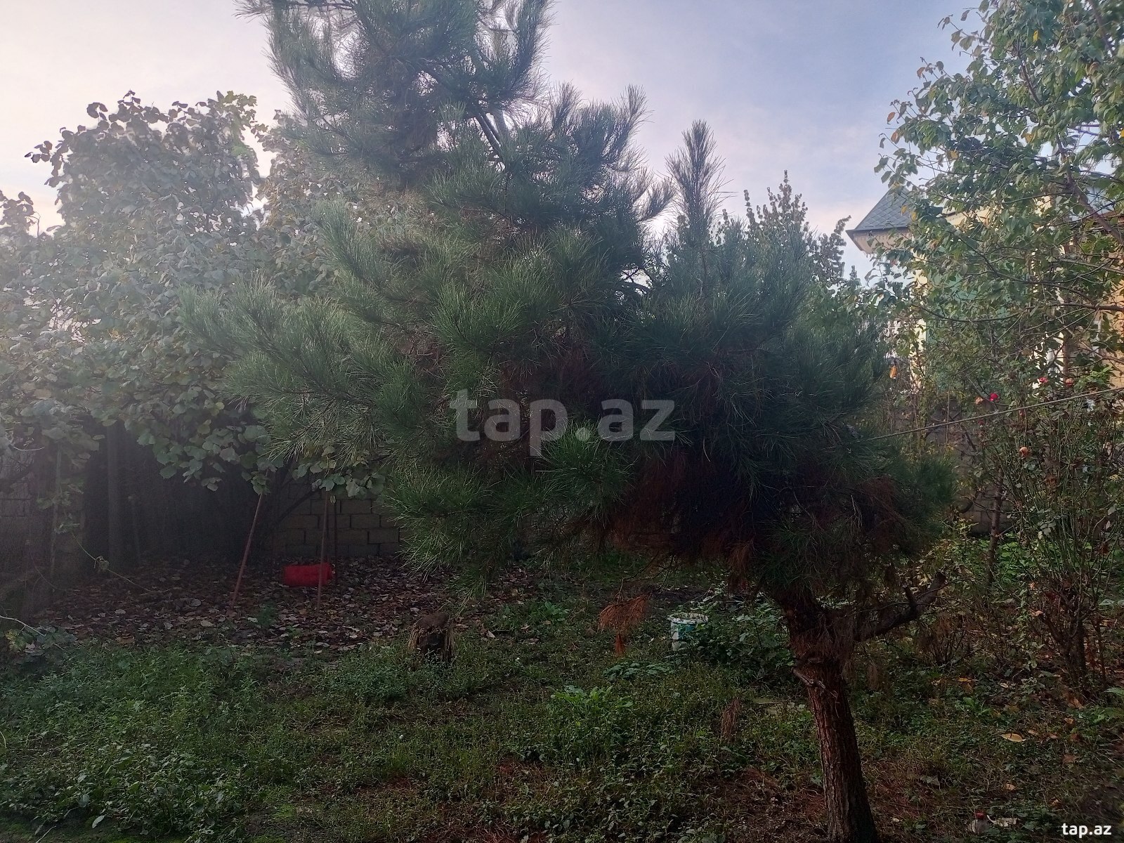 Land for sale, Guba