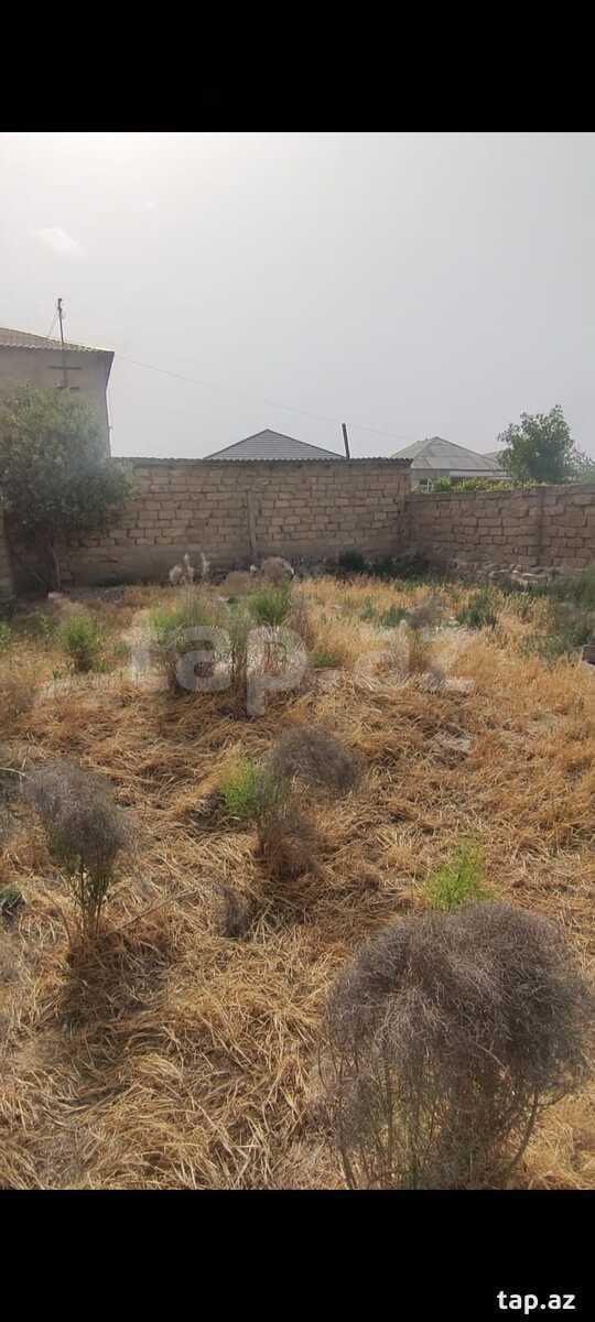 Torpaq satılır, Bakı