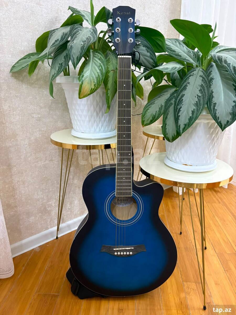 Akustik gitara