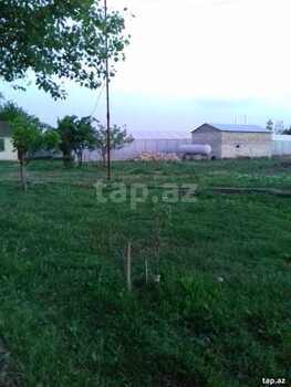 500 sot torpaq sahəsi, Salyan r.
