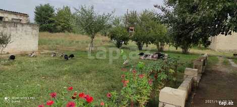 500 sot torpaq sahəsi, Salyan r.