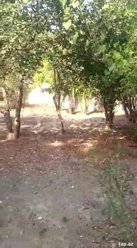 Həyət evi, Ağcabədi ş.
