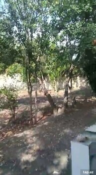 Həyət evi, Ağcabədi ş.