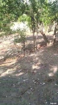 Həyət evi, Ağcabədi ş.